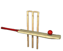 GIFs animados en Cricket