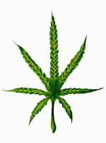 GIFs animados en Cannabis
