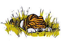 GIFs animados en Calvin Y Hobbes